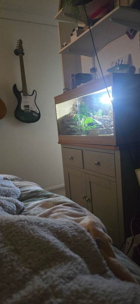 Vivarium 