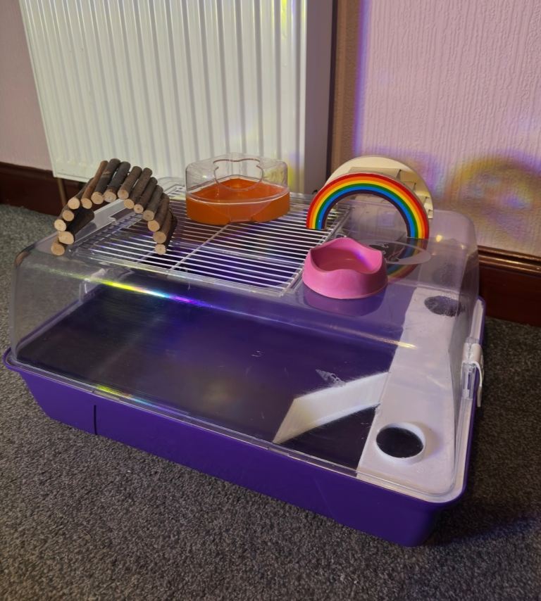 Temporary small sized hamster cage 49cm x 31cm and accessories