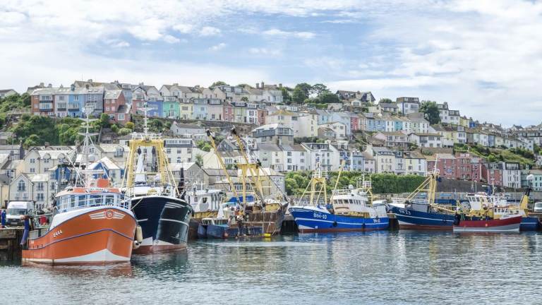 Property to rent in Brixham
