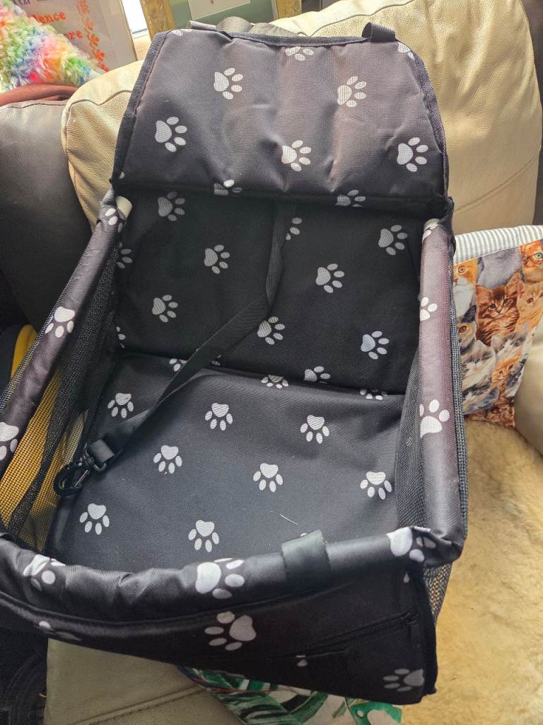 Small dog - car dog seat