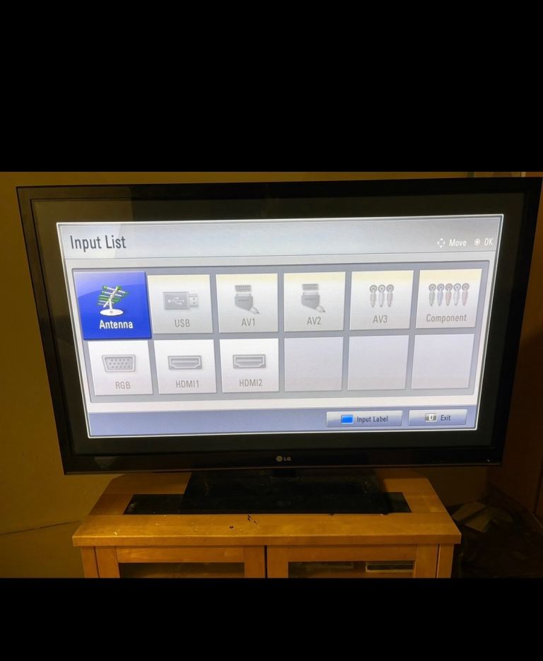 Lg 55 in tv non smart