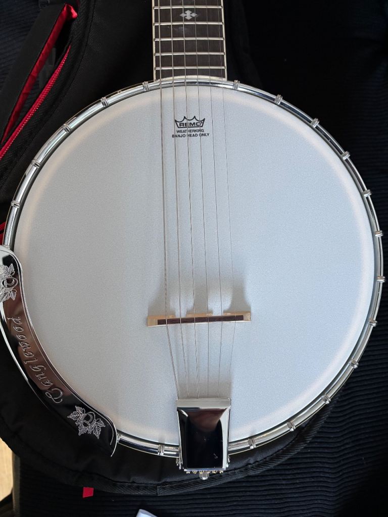 Tanglewood 6 string banjo