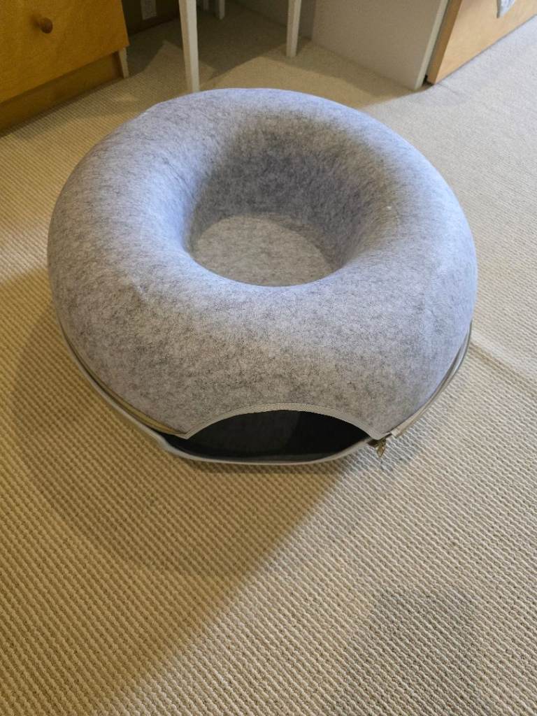 Cat donut