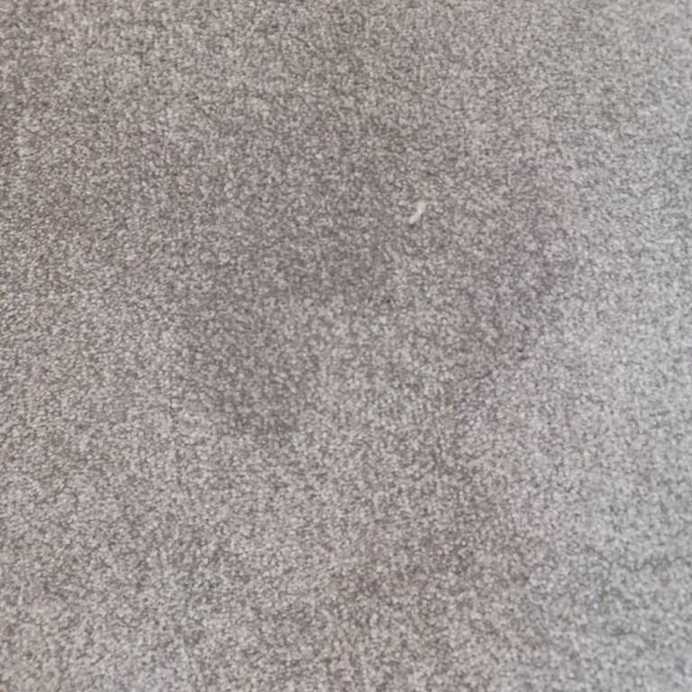Brand new Grey Carpet