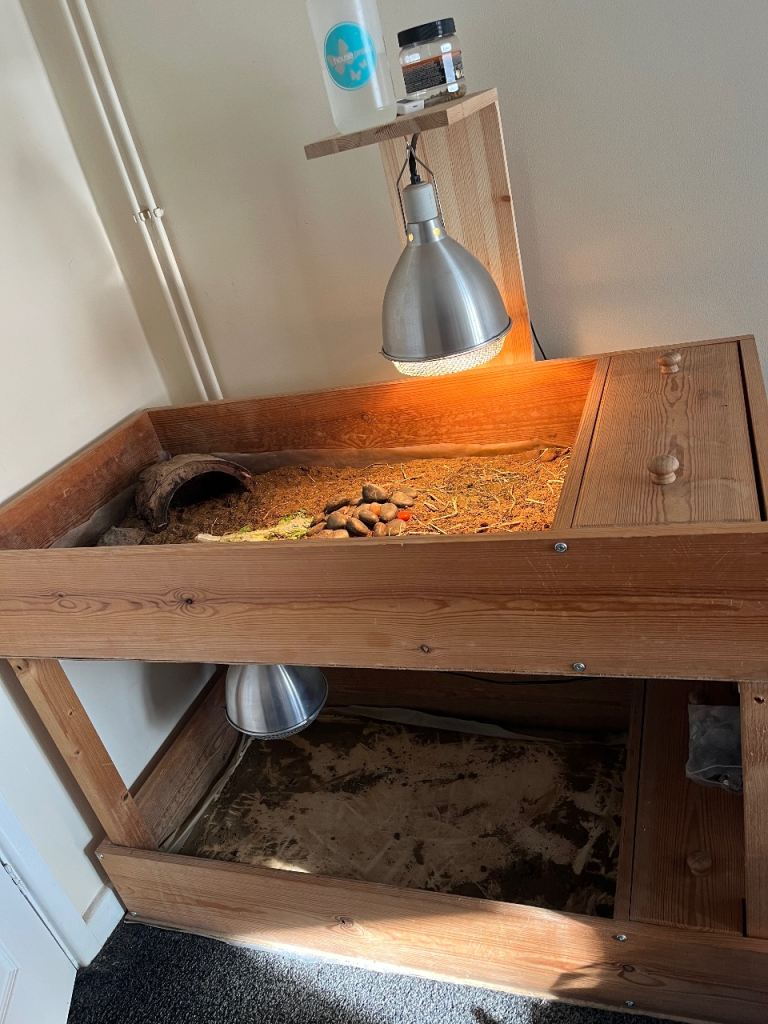 Double Tortoise table