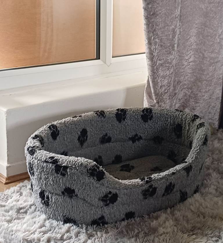 Smallish dog bed.