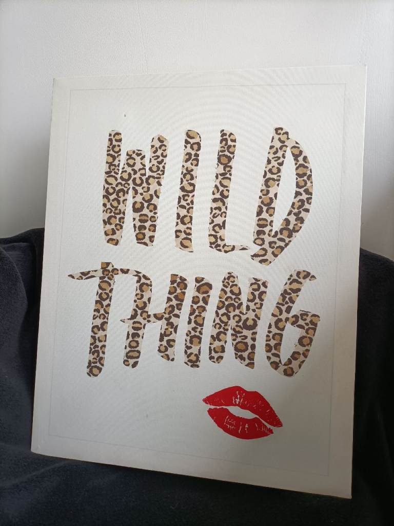 Wild Thing Leopard Print Canvas Picture – Good Condition