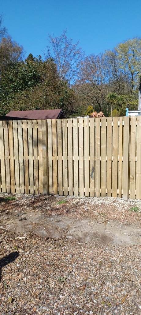Fencing and decking 