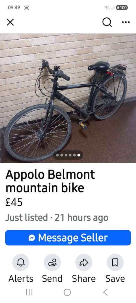 Adult mountain bike