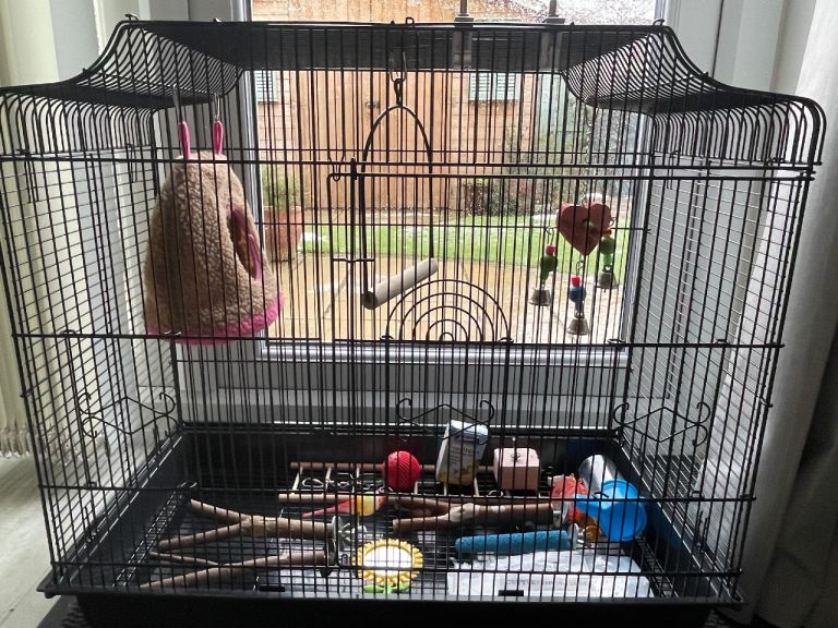 Budgie Cage 