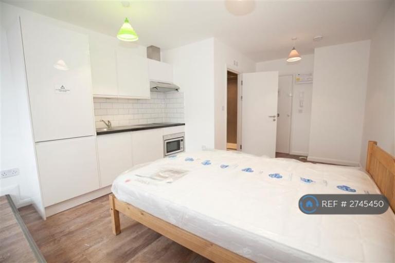 Studio flat in Madison Heights, Hounslow, TW3 (#2745450)