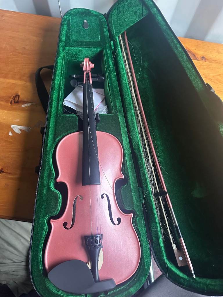 Pink Student Violin With Case