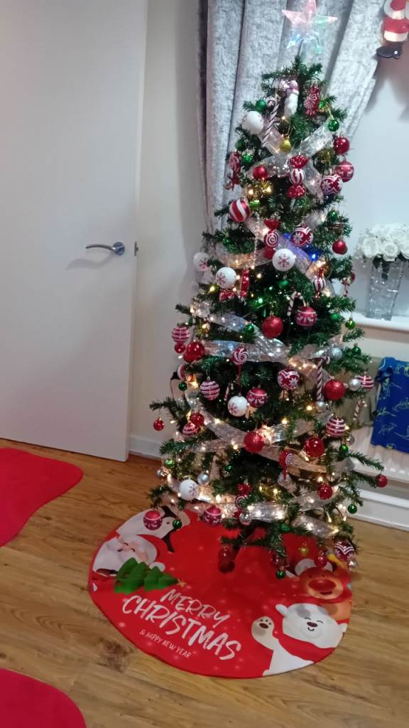 Christmas tree ( decorations not included)