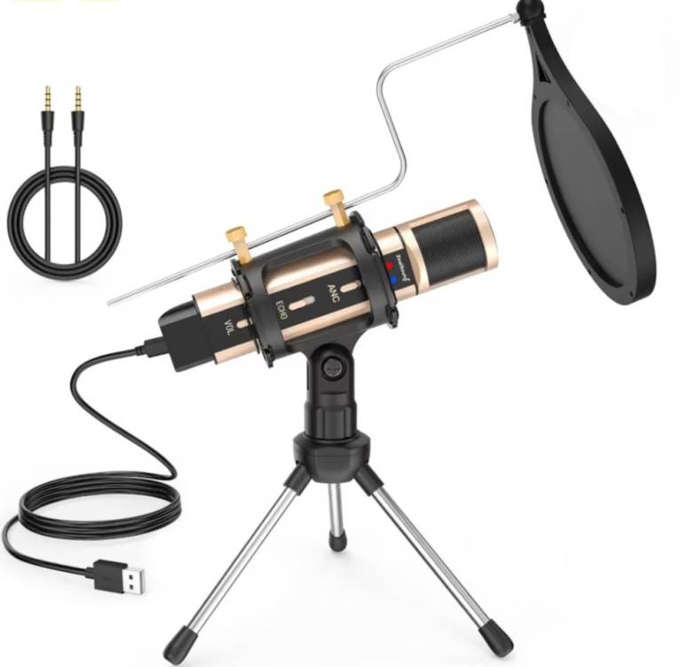 Microphone. Zealsound professional studio microphone with echo