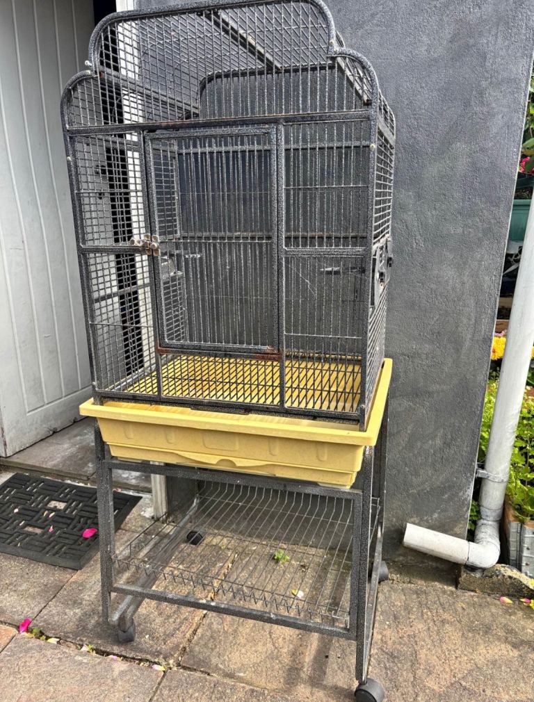 Bird cages 