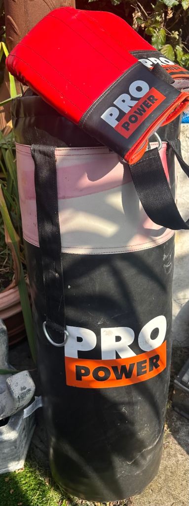 PRO POWER Punch Bag with Boxing Gloves – Good Condition