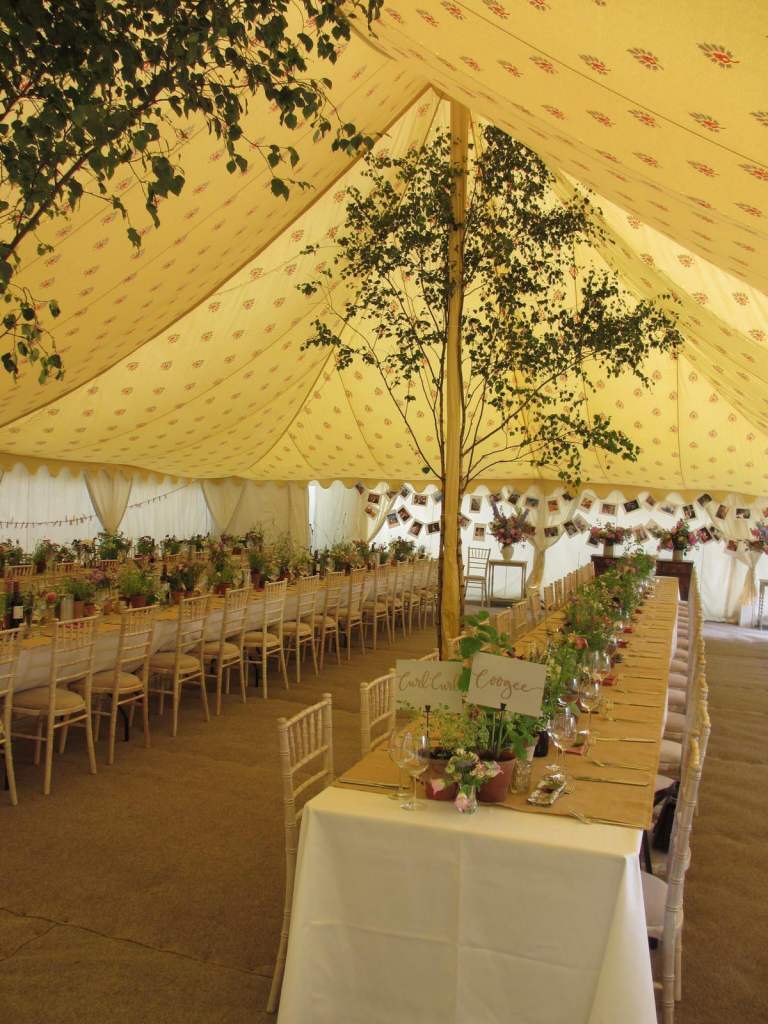 Selection of small and medium vintage terracotta pots