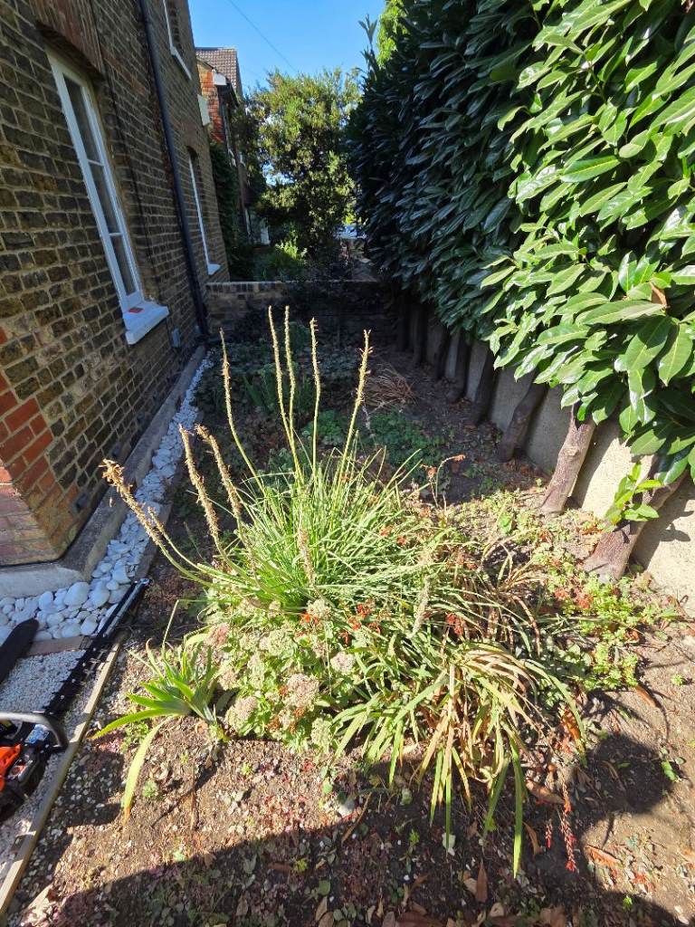Hard-working Gardener