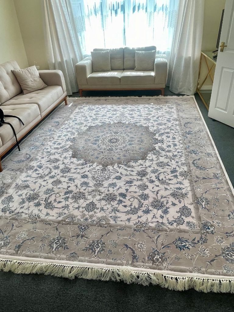 FREE! Large Beige and Blue Traditional rug for garden house