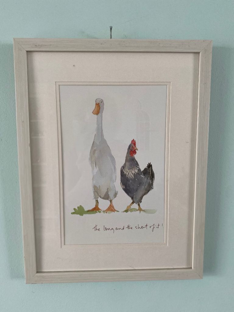 “THE LONG AND THE SHORT OF IT” DUCK PRINT BY JEFFY SALT IN GLAZED FRAME