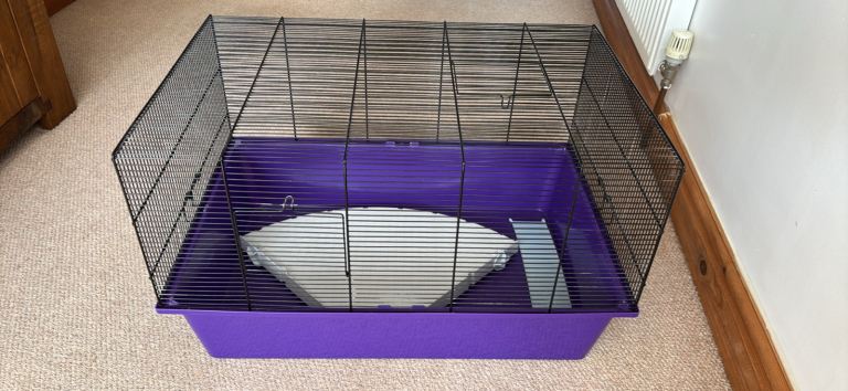 Hamster Cage & Accessories – Great Condition