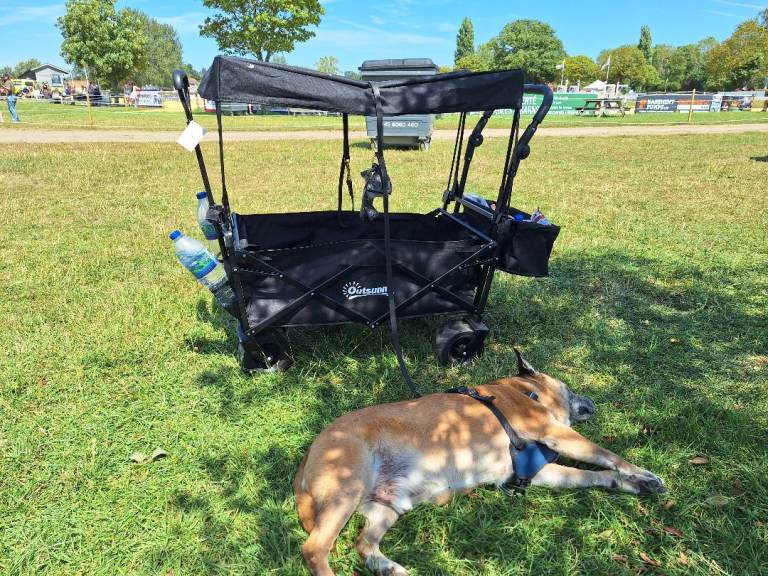 180 L Festival Trolley/Dog Buggy. Removeable canopy, all terrain wheels. Hardly used.