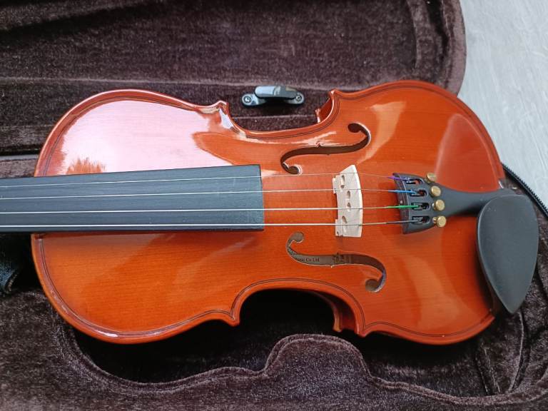 Stentor Student Standard Violin 1/4 immaculate condition