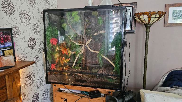 Complete bioactive enclosure  
