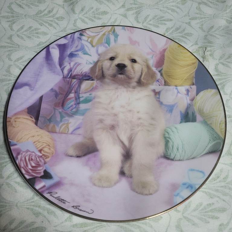 Spinning A Yarn Golden Puppy Portrait Plate – The Hamilton Collection (J3)