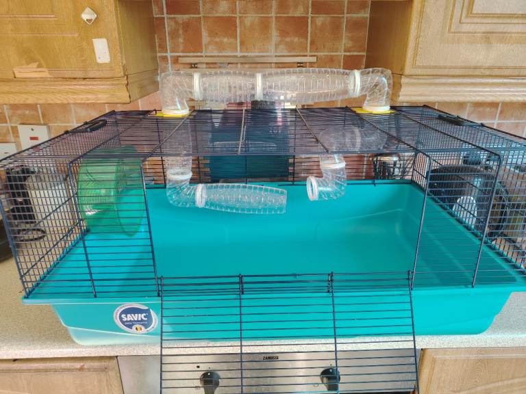 Hamster cage and accessories 