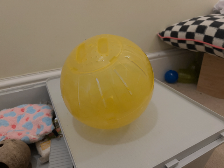 Large Hamster ball