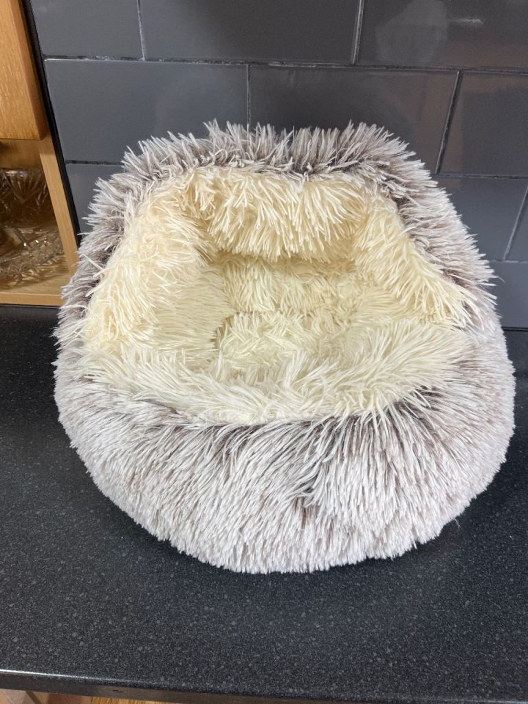 Cat or Toy Dog Bed