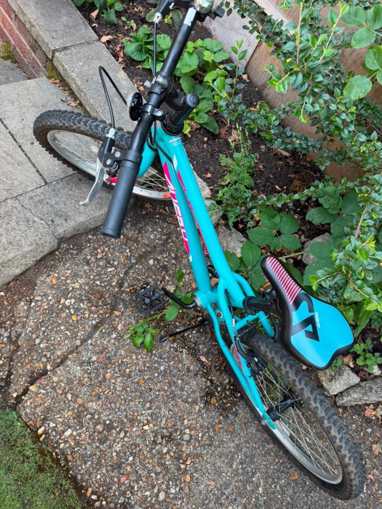 Kids Mountain Bike – Blue and Pink, Good Condition