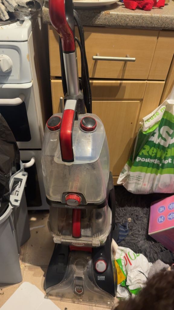 Red Carpet Cleaner – Good Working Order