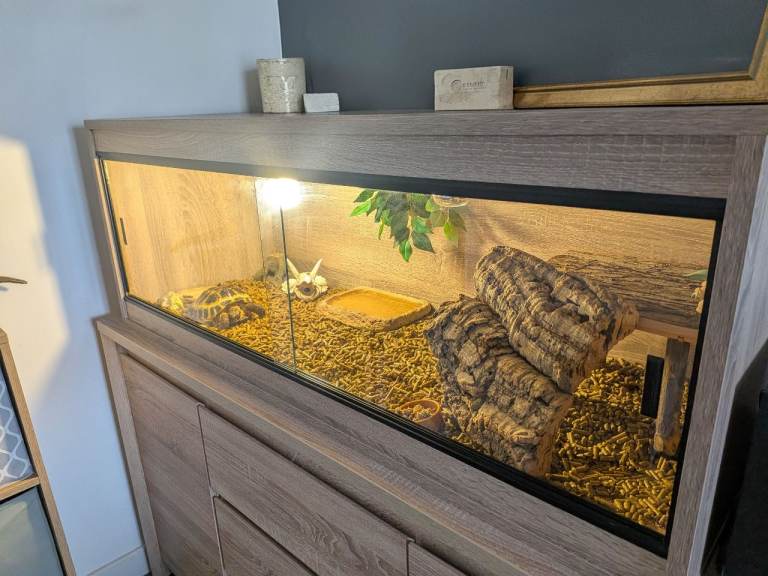 Tortoise full set up