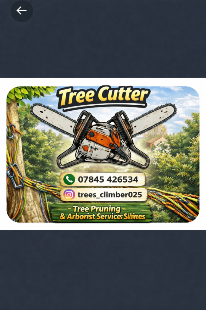 Tree Removal tree cutting tree surgeon stump removal tree service tree service 