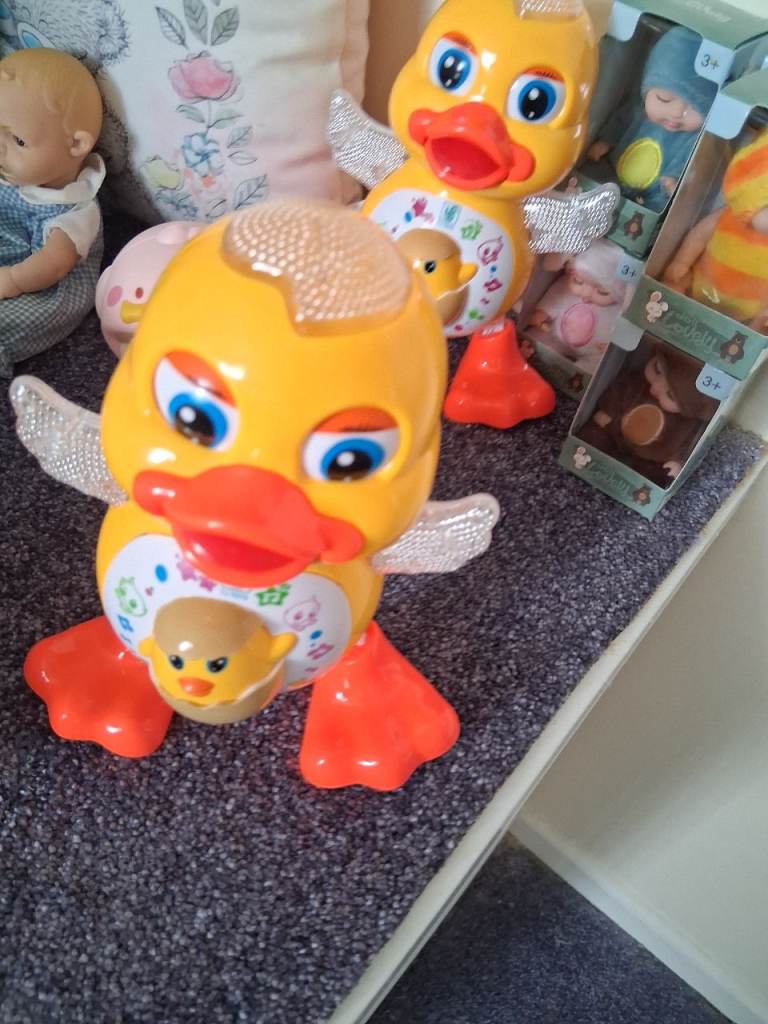 Musical duck
