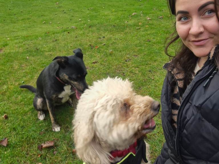 Dog walking & pet care services