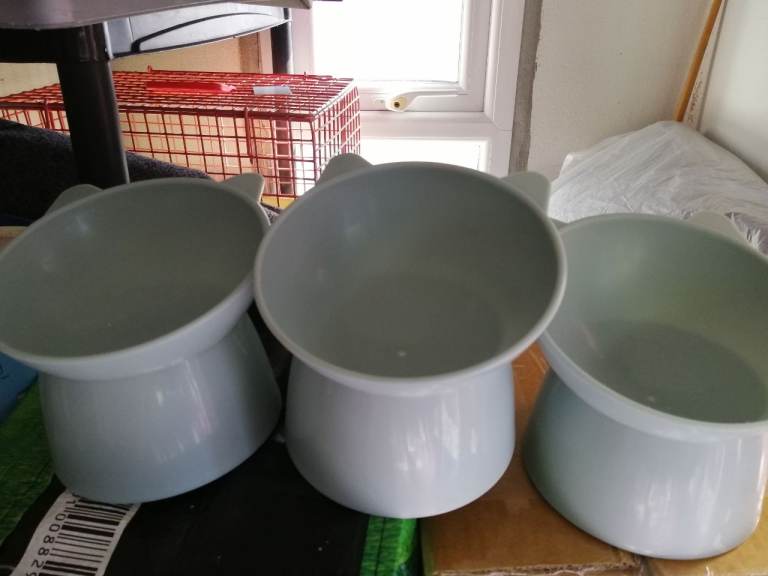 Raised cat feed dishes