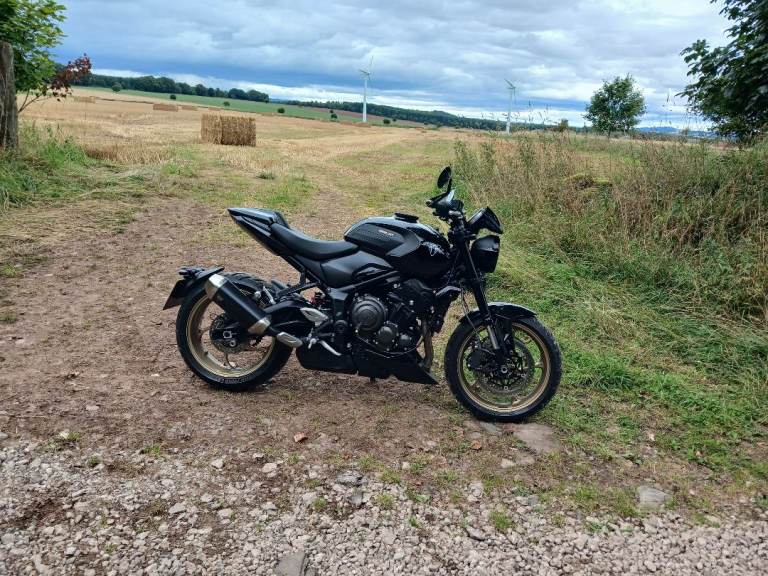 Triumph, TRIDENT, 2026, 798 (cc)