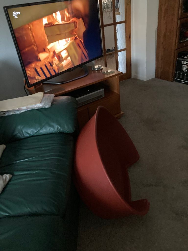 Hard Plastic Dog Bed