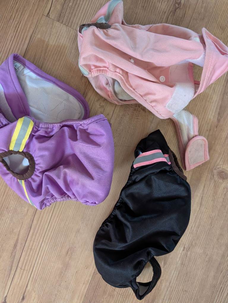 Dog nappies x3