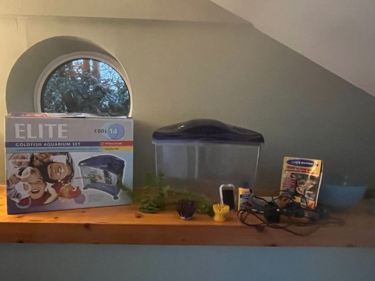 Goldfish Aquarium for Nemo lovers 