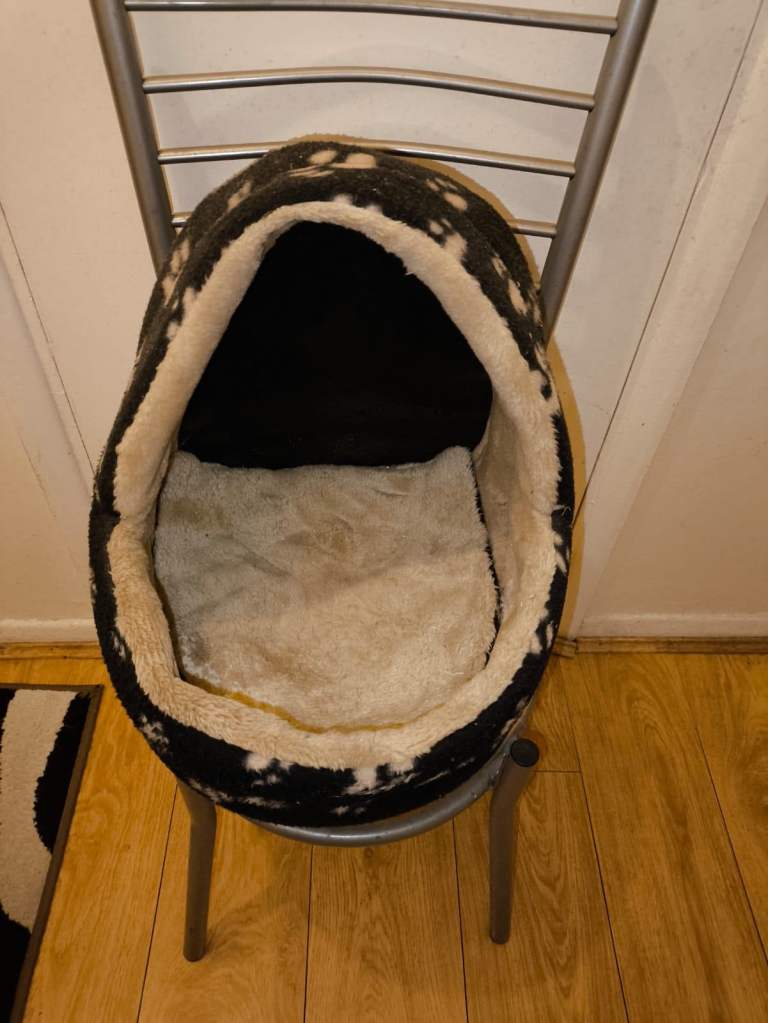 Cozy Cat Home