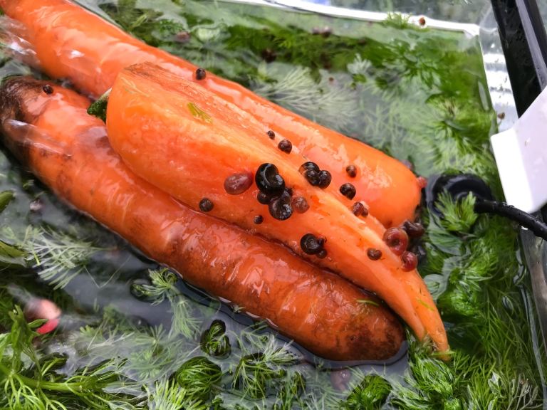 Fresh water snails 
