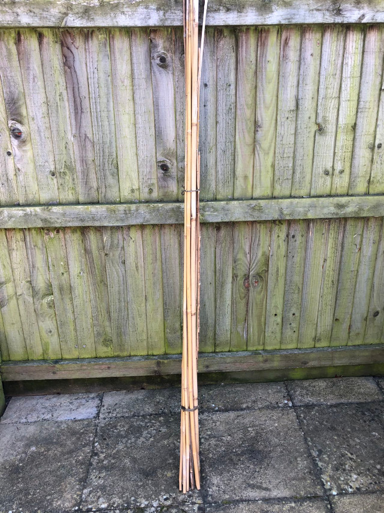image for Bamboo Cane, size 6 feet