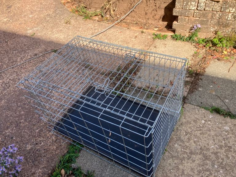 Dog crate 