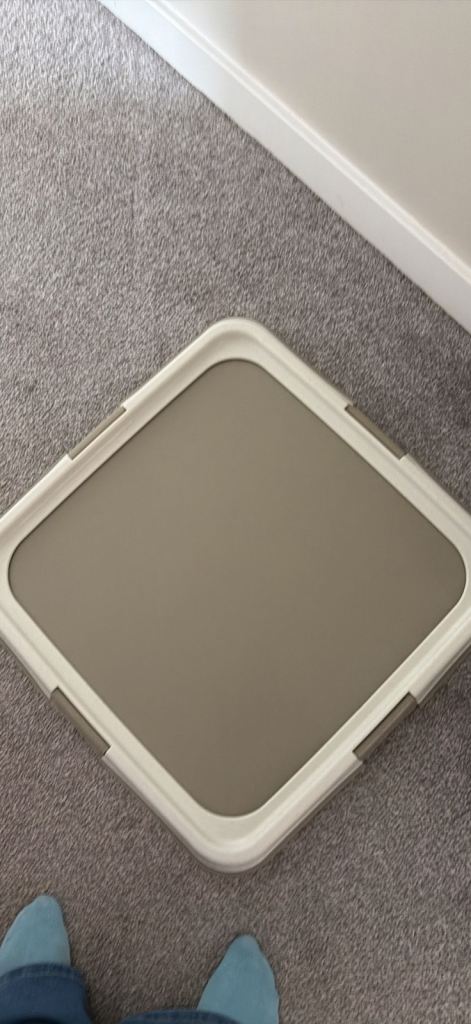 Puppy pad holder