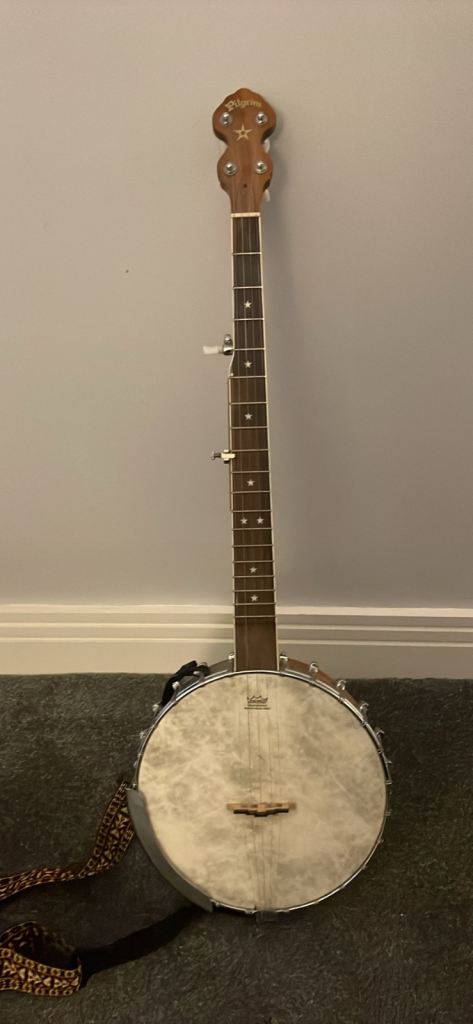 Pilgrim ( shady grove 003 ) 5 string open back Banjo
