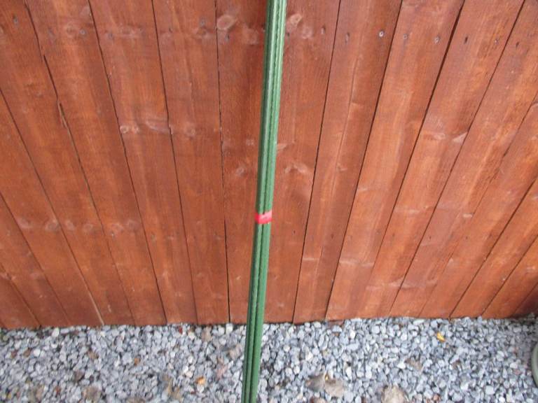 10 x 4ft Garden Canes